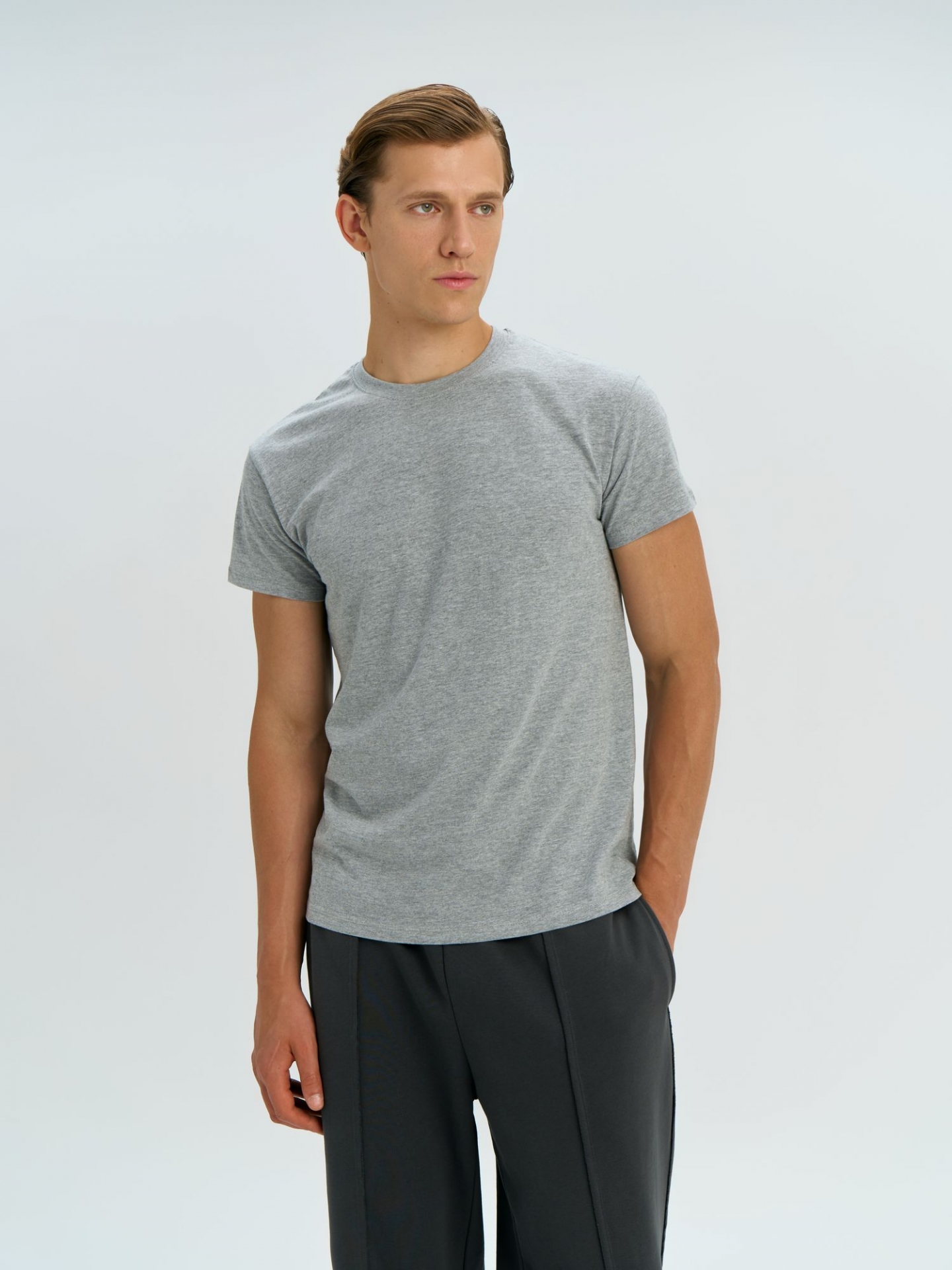 Футболка Regent 150, серый меланж